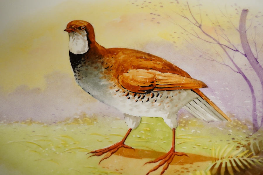 A Limoges oval porcelain serving dish hand painted with a French Red Legged Partridge signed Lattel, width 51cm
